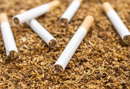 Picture for category Tobacco